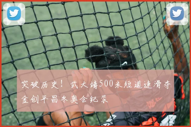 突破历史！武大靖500米短道速滑夺金创平昌冬奥会纪录
